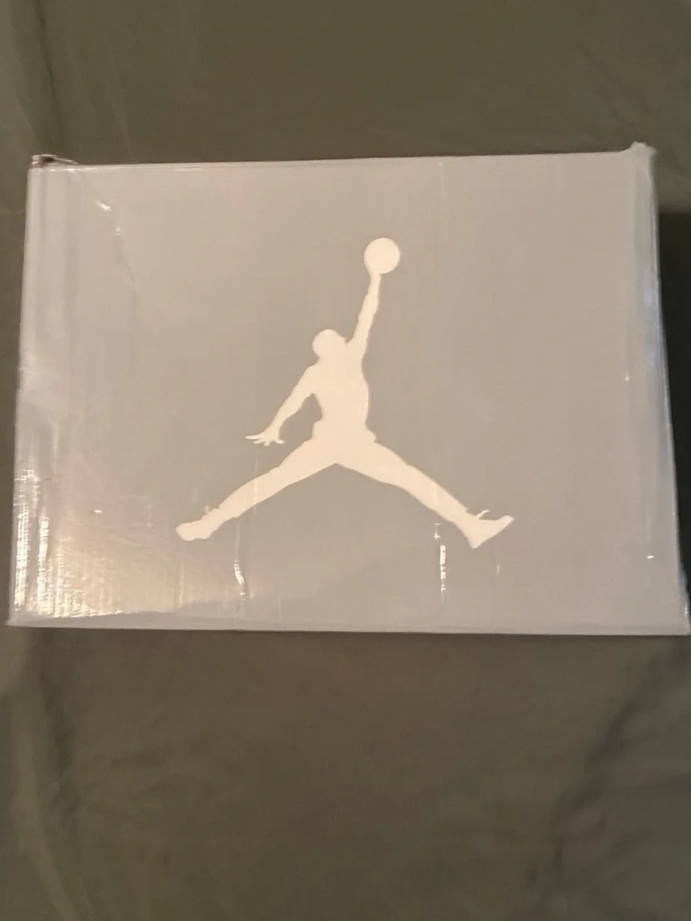 Jordan Retro Low Taupe Suede Sneakers with White Tongue